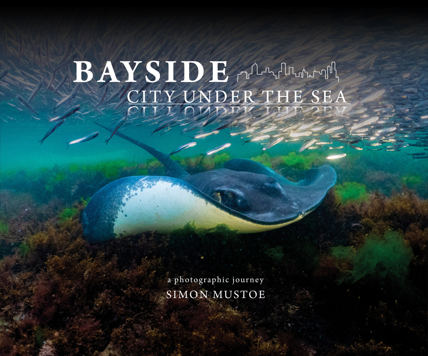 Bayside City Under the Sea: a Photographic Journey