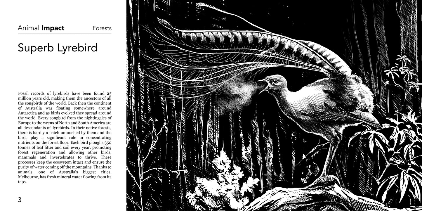 Animal Impact ART BOOK