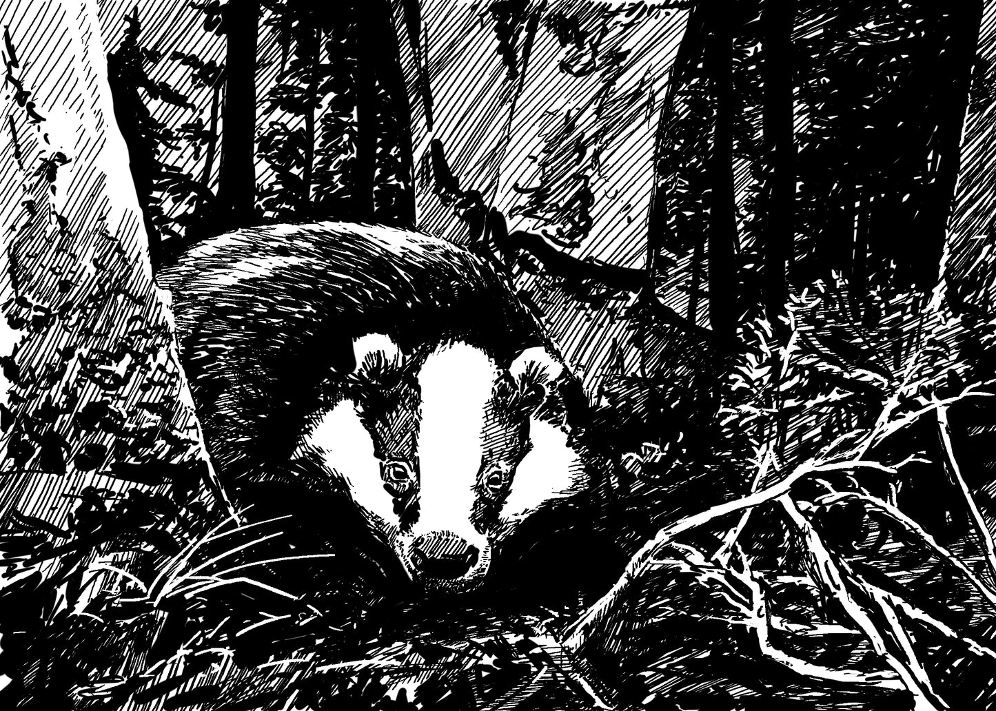 10 Art Cards that offset carbon emissions for a week and create vital wildlife habitat!