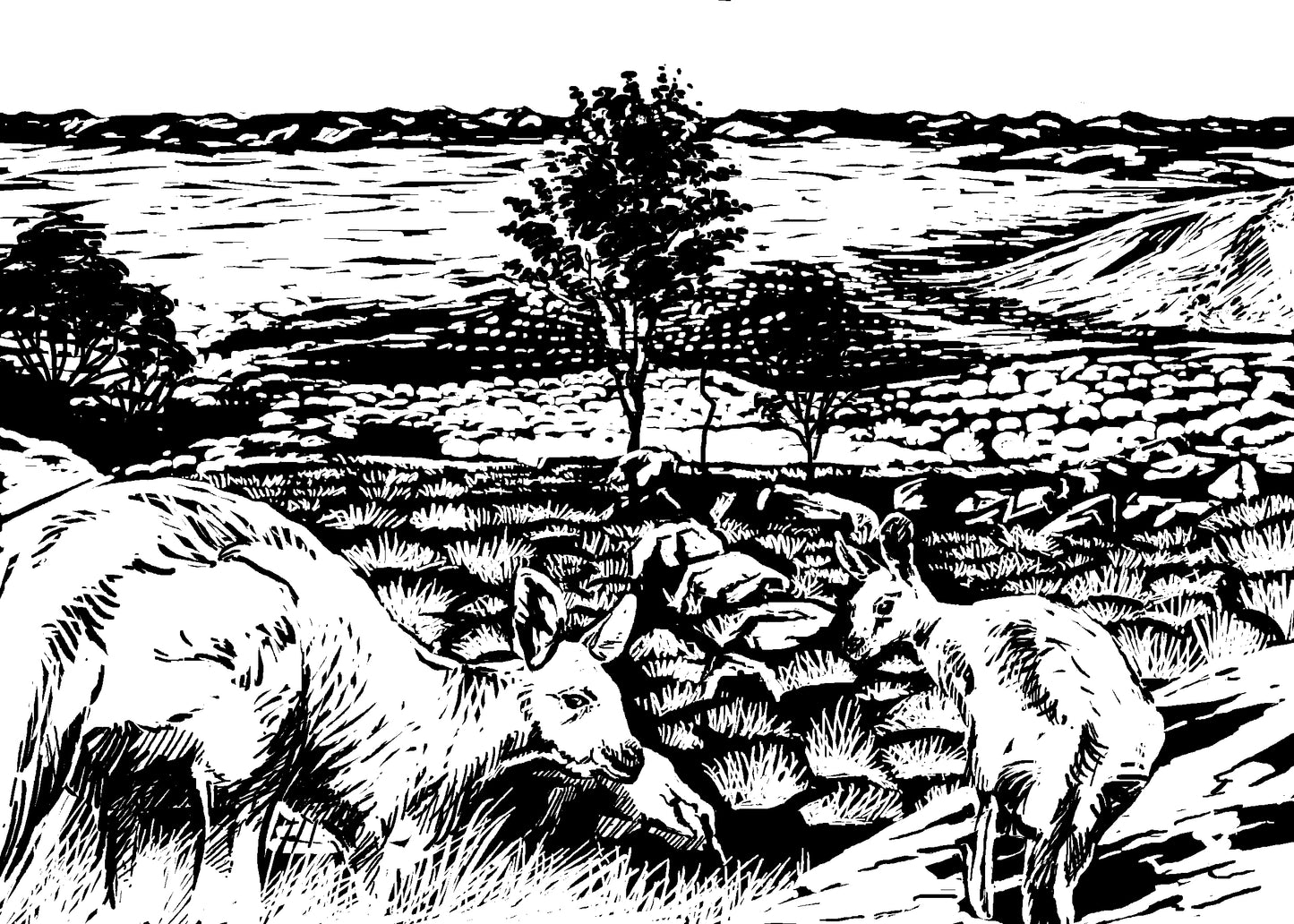 10 Art Cards that offset carbon emissions for a week and create vital wildlife habitat!