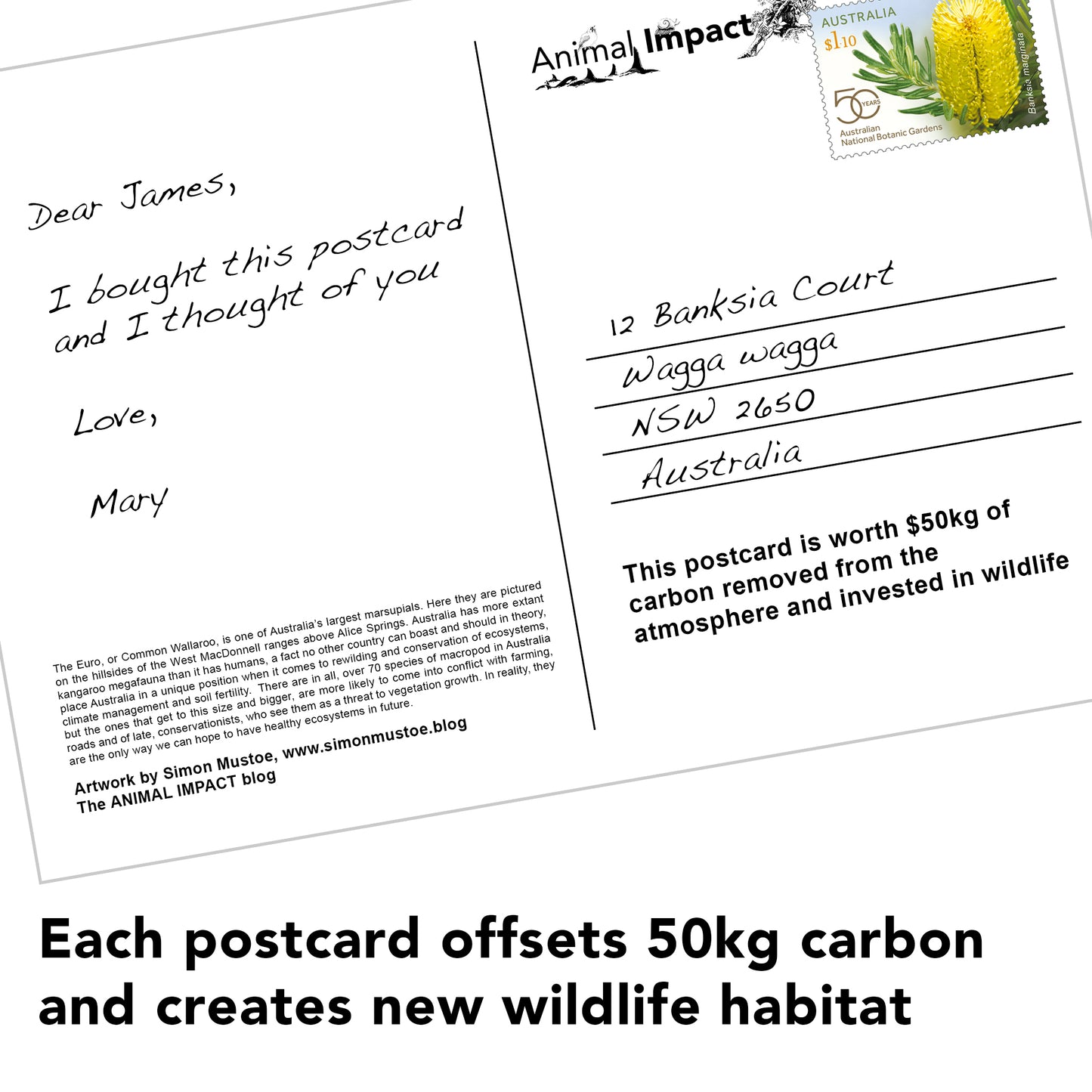 10 Art Cards that offset carbon emissions for a week and create vital wildlife habitat!