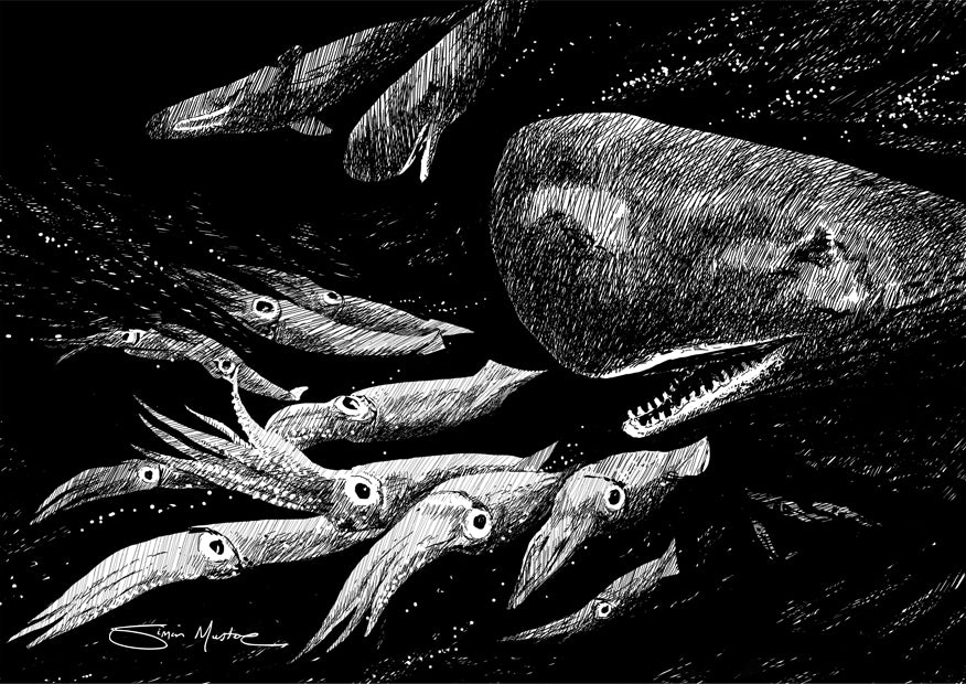 Sperm Whale Wildlife Print (includes shipping)
