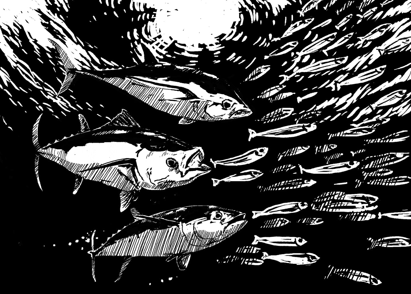 10 Art Cards that offset carbon emissions for a week and create vital wildlife habitat!