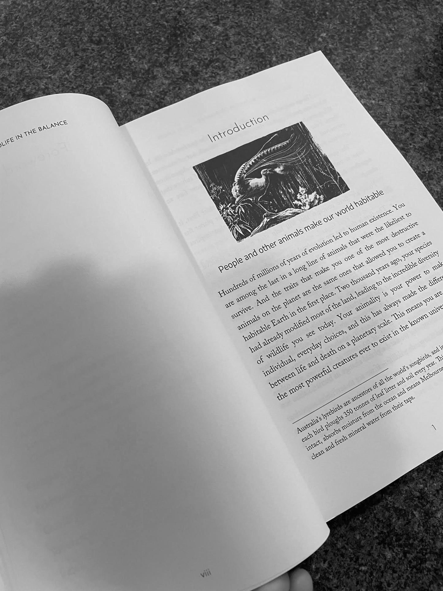 Buy 'Wildlife in the Balance' and raise money for your favourite charity
