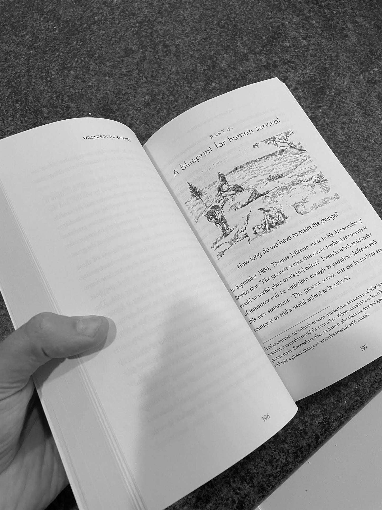 Buy 'Wildlife in the Balance' and raise money for your favourite charity