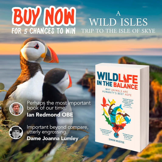 Wild Isles Competition - Buy Now for 5 Chances to Win!