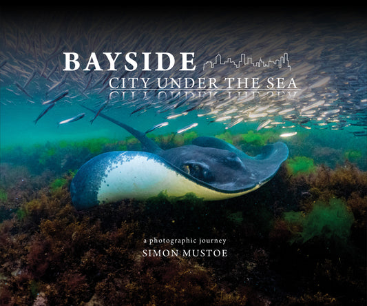 Bayside City Under the Sea: a Photographic Journey