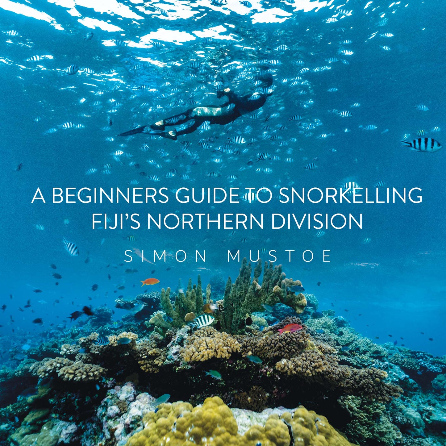 A Beginners Guide to Snorkelling Fiji's Northern Division