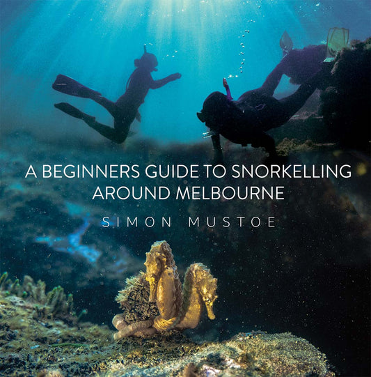 A Beginners Guide to Snorkelling Around Melbourne